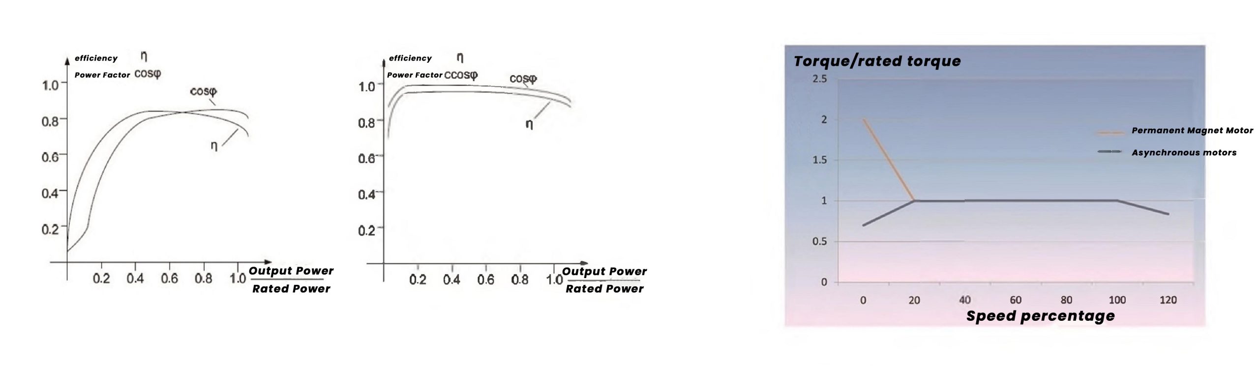 Permanent magnet motor11pg